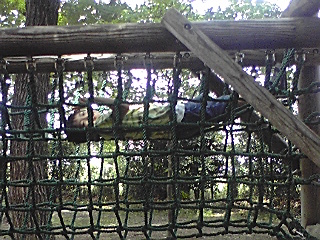 2008年5月25日 005.jpg