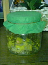 2008年3月8日 001.jpg