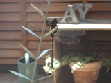 070826-4.JPG