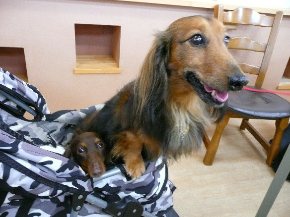 りょう太くん・あゆきちゃん