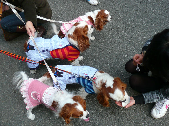 ノア・ライフくん