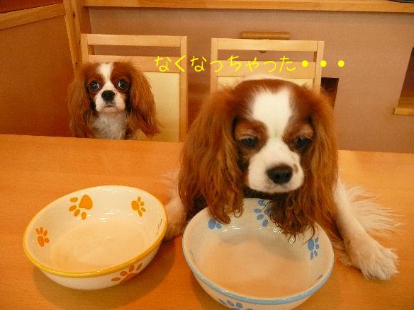 アリス＆ケイティ