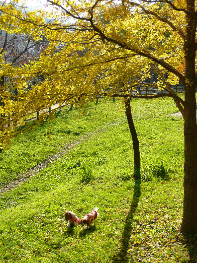 アリス＆ケイティ