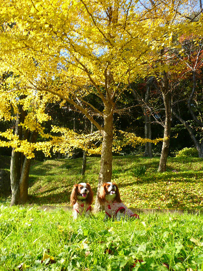 アリス＆ケイティ