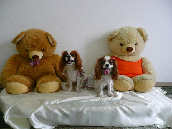 アリス＆ケイティ