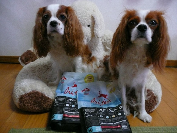 アリス＆ケイティ