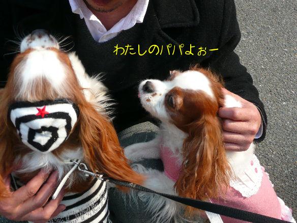 アリス・バディくん