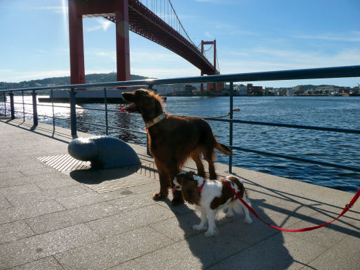 maroali08.8.27 037.jpg