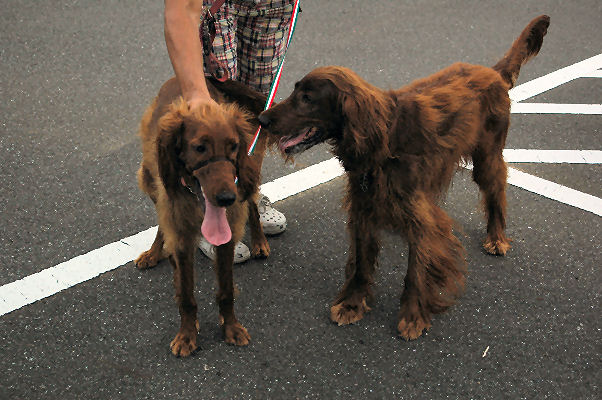 こんにちは～。