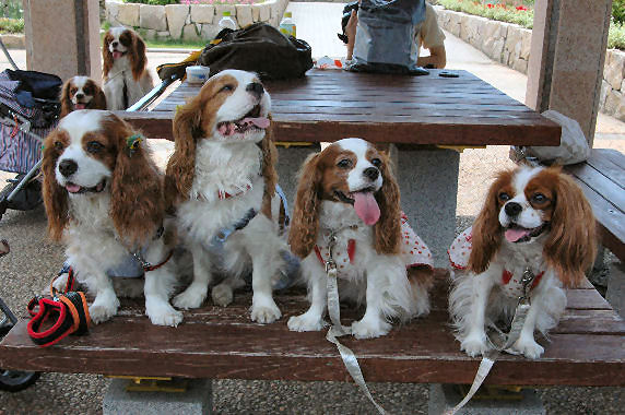 アリス＆ケイティ＆ノアくん&