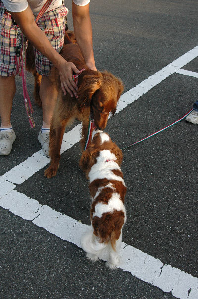 こんにちは～。