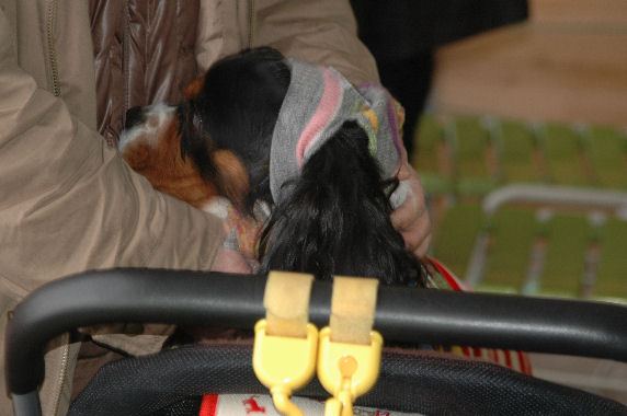 けんたろうくん