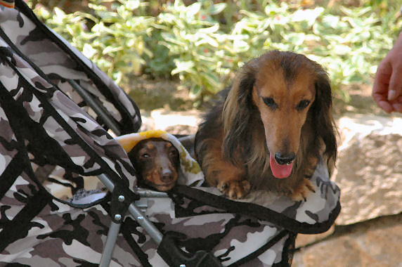 りょう太くん・あゆきちゃん