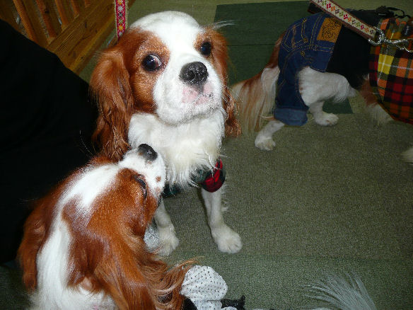 ライフくん・ケイテイ