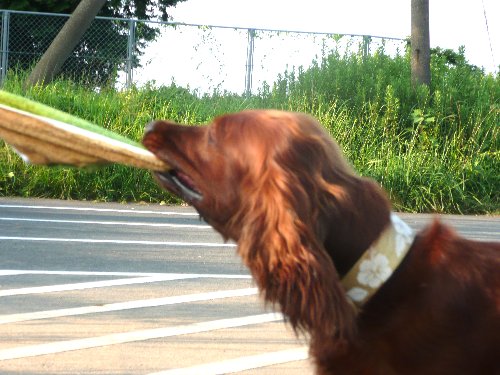 07.7ryousuke.maro&arice 043.jpg