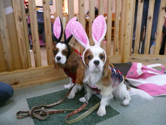 ノア・ライフくん