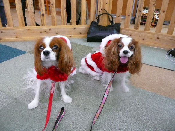 アリス＆ケイティ