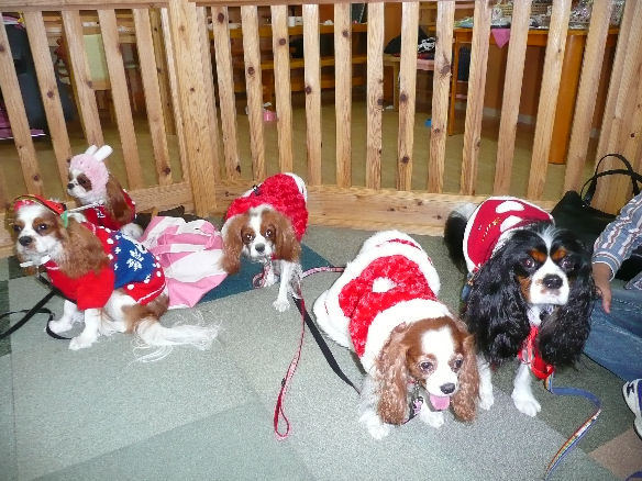 10.12 jigorou.kurisumasukai 072.jpg