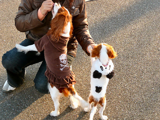 アリス＆ケイティ