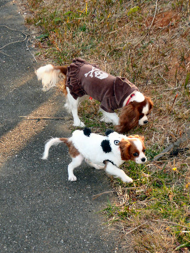 アリス＆ケイティ2