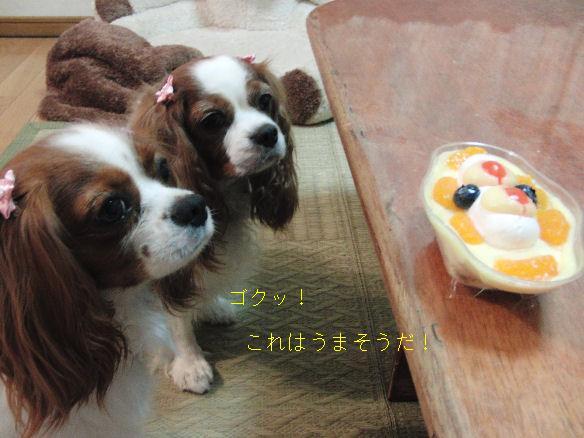 アリス＆ケイティ