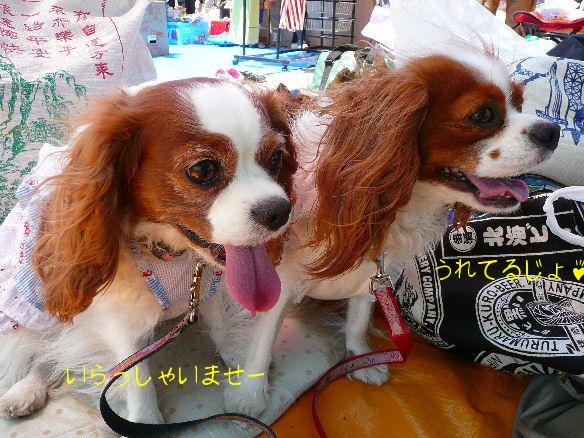 アリス＆ケイティ