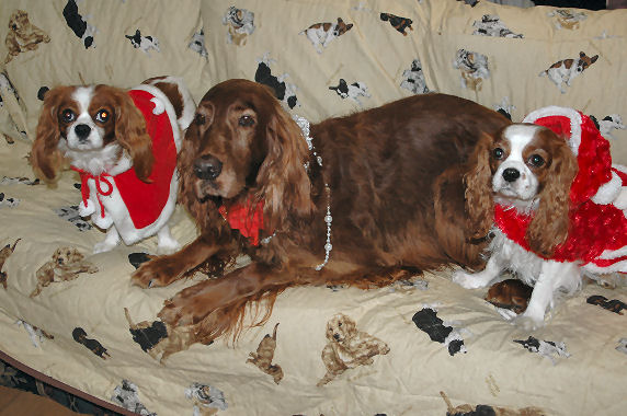 マロン＆アリス＆ケイティ