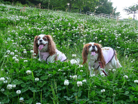 アリス＆ケイティ