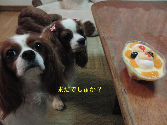 アリス＆ケイティ