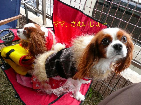 アリス＆ケイティ