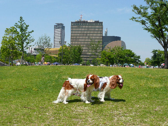 アリス＆ケイティ