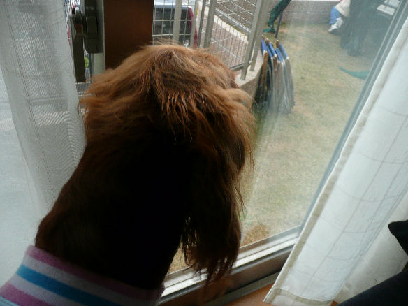 11.01 azukike.BBQ 036.jpg