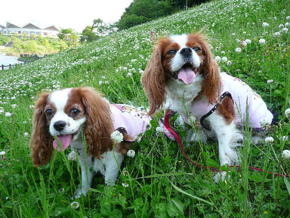 アリス＆ケイティ