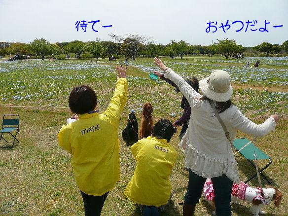 あずきちゃん・カリンちゃん