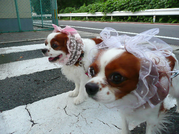 アリス＆ケイティ