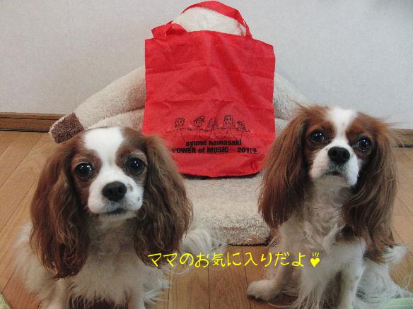 エコバッグ・アリケイ