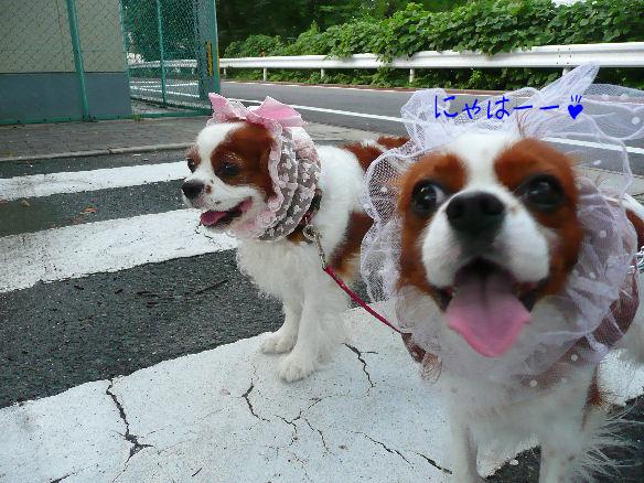 アリス＆ケイティ