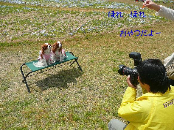 アリス＆ケイティ