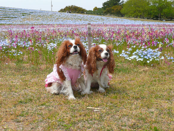 アリス＆ケイティ