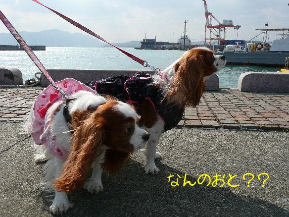 アリス＆ケイティ