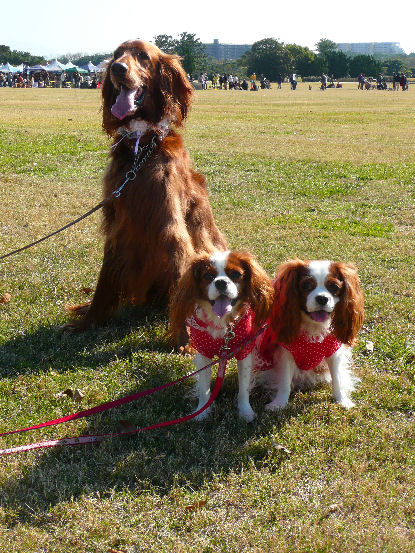 マロン＆アリス＆ケイティ