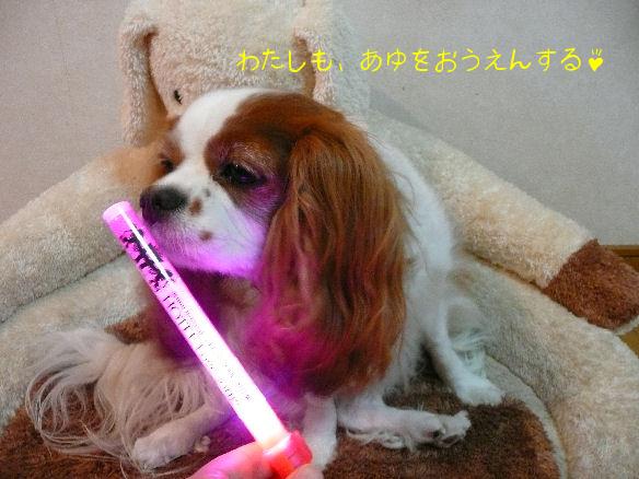 うちわ・ペンライト・アリケイ