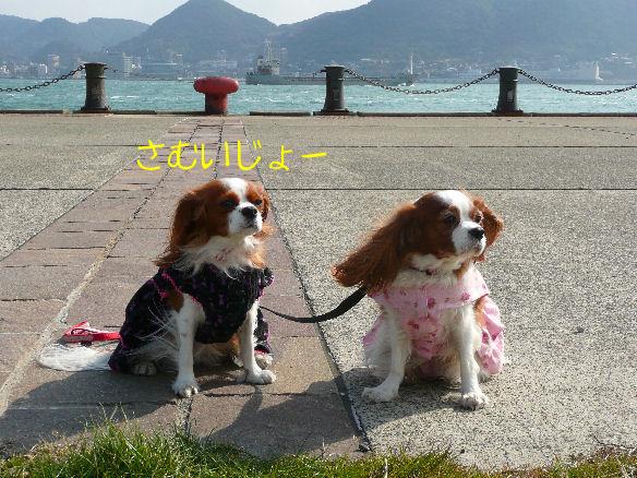 アリス＆ケイティ