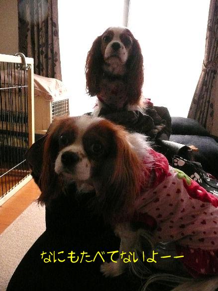 アリス＆ケイティ