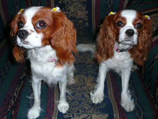 アリス＆ケイティ