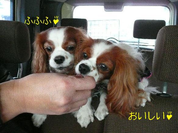 アリス＆ケイティ