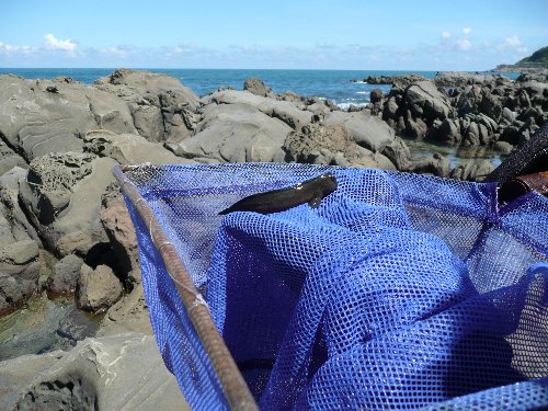 07.8miyazaki 052.jpg