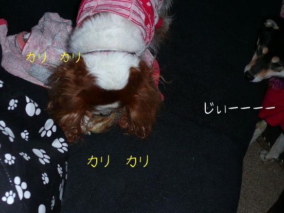 アリス・ふくちゃん