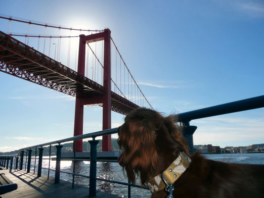 maroali08.8.27 051.jpg