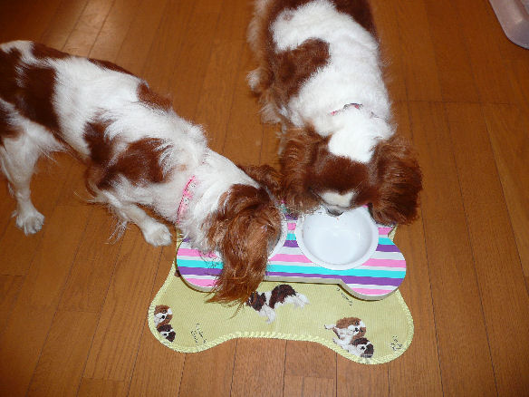 アリス＆ケイティ